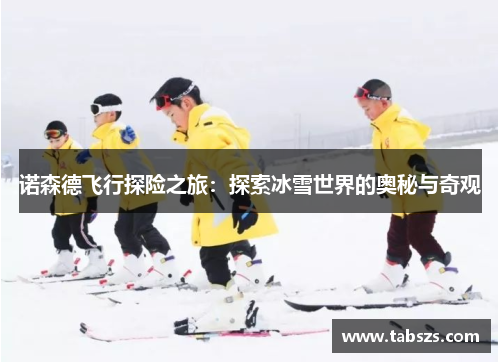 诺森德飞行探险之旅：探索冰雪世界的奥秘与奇观