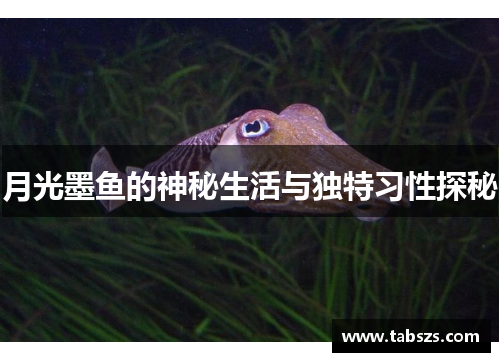 月光墨鱼的神秘生活与独特习性探秘